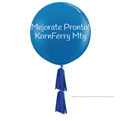 Sólidos Personalizados