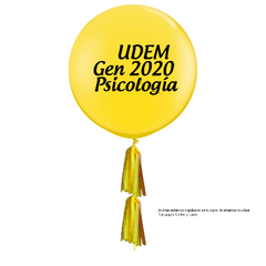 Sólidos Personalizados