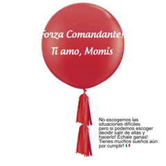 Sólidos Personalizados