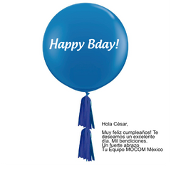 Sólidos Personalizados