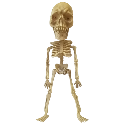 Skeleton head w/light-up eyes