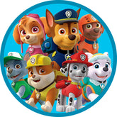 Paw Patrol Niño
