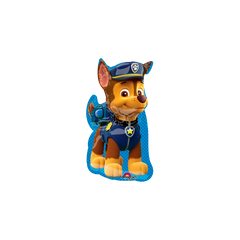 Paw Patrol Niño