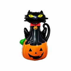 Gato encima de calabaza