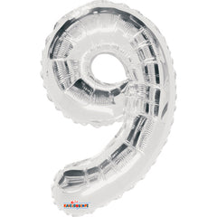 Globo MS #9